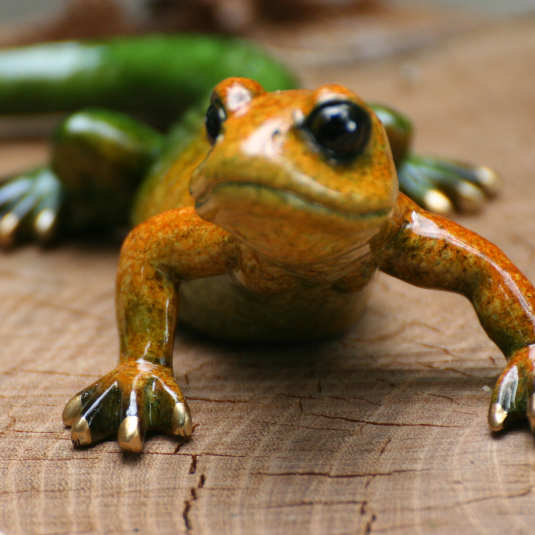 salamander