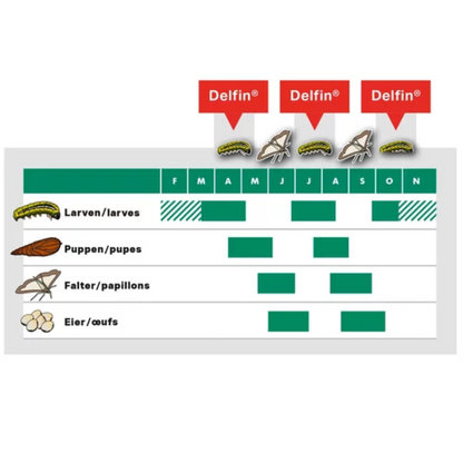 Delfin® gegen Buchsbaumzünsler