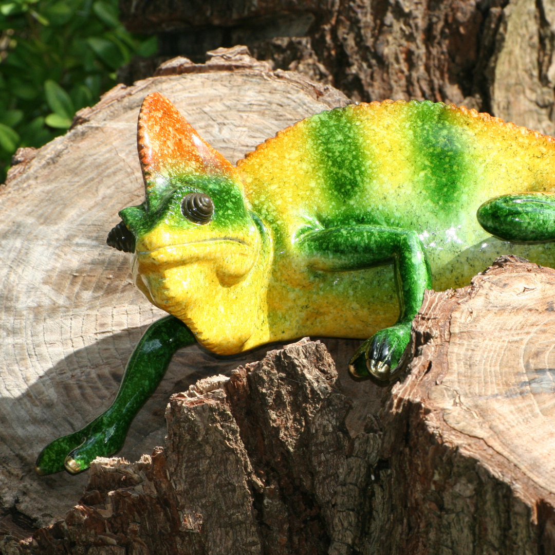 caméléon