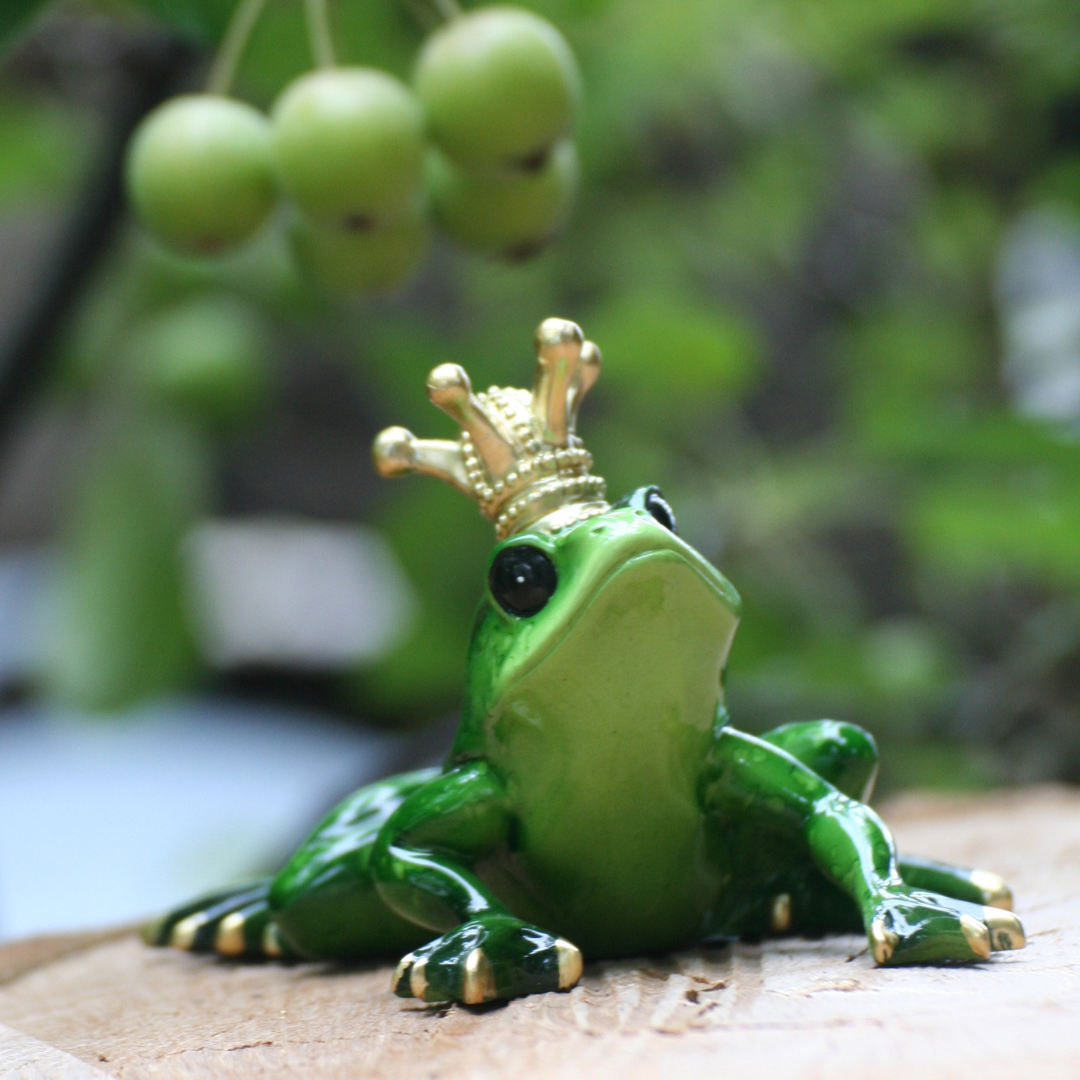 Frog Prince
