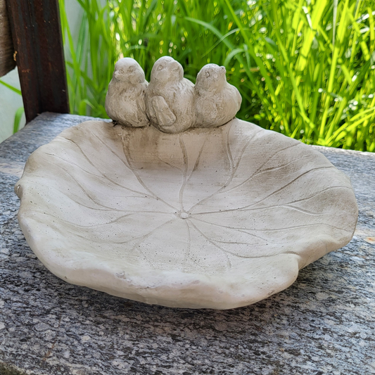 bird bath