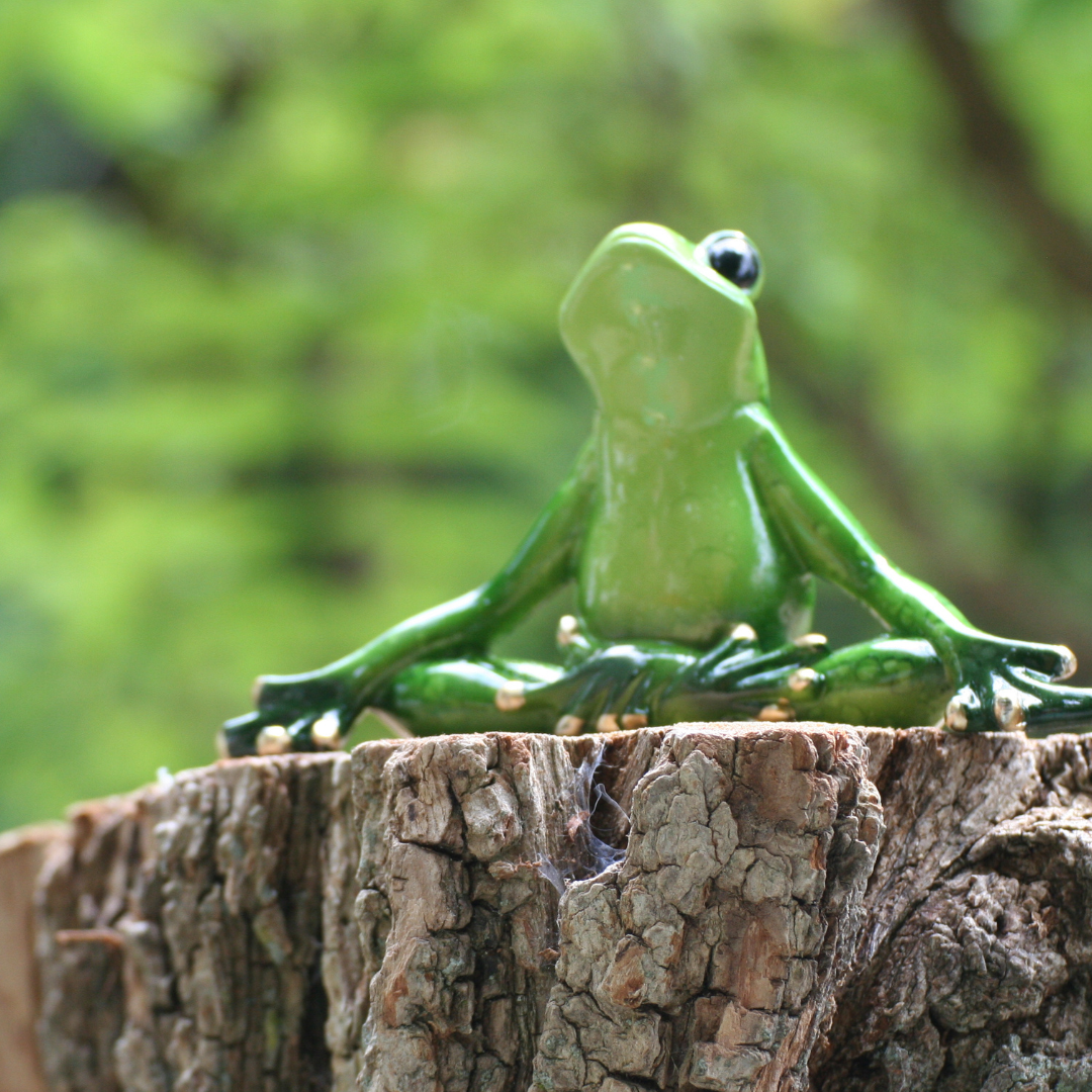 Grenouille de yoga