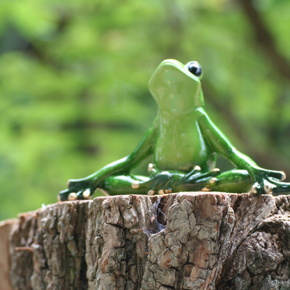 Grenouille de yoga