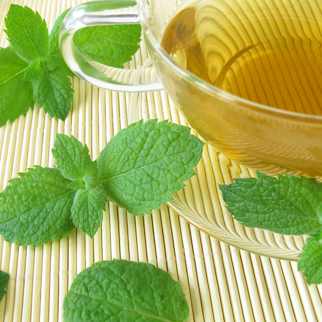 Pineapple Mint