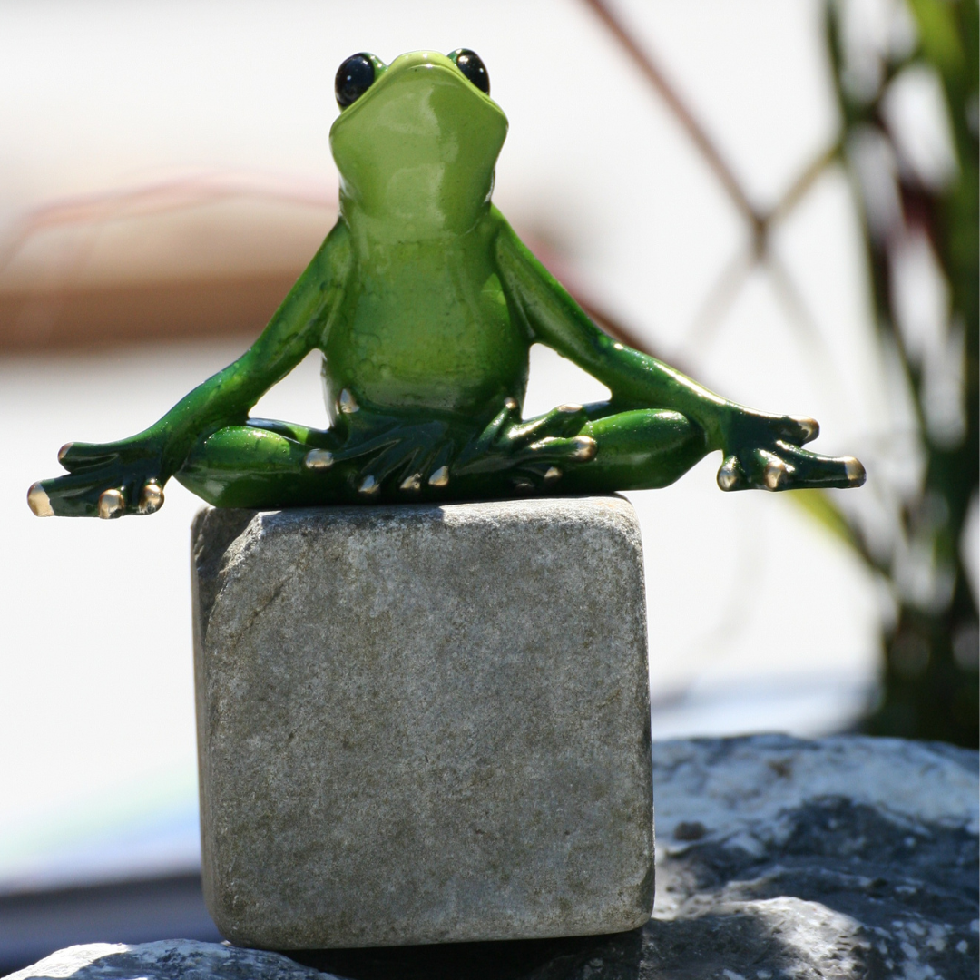 Grenouille de yoga