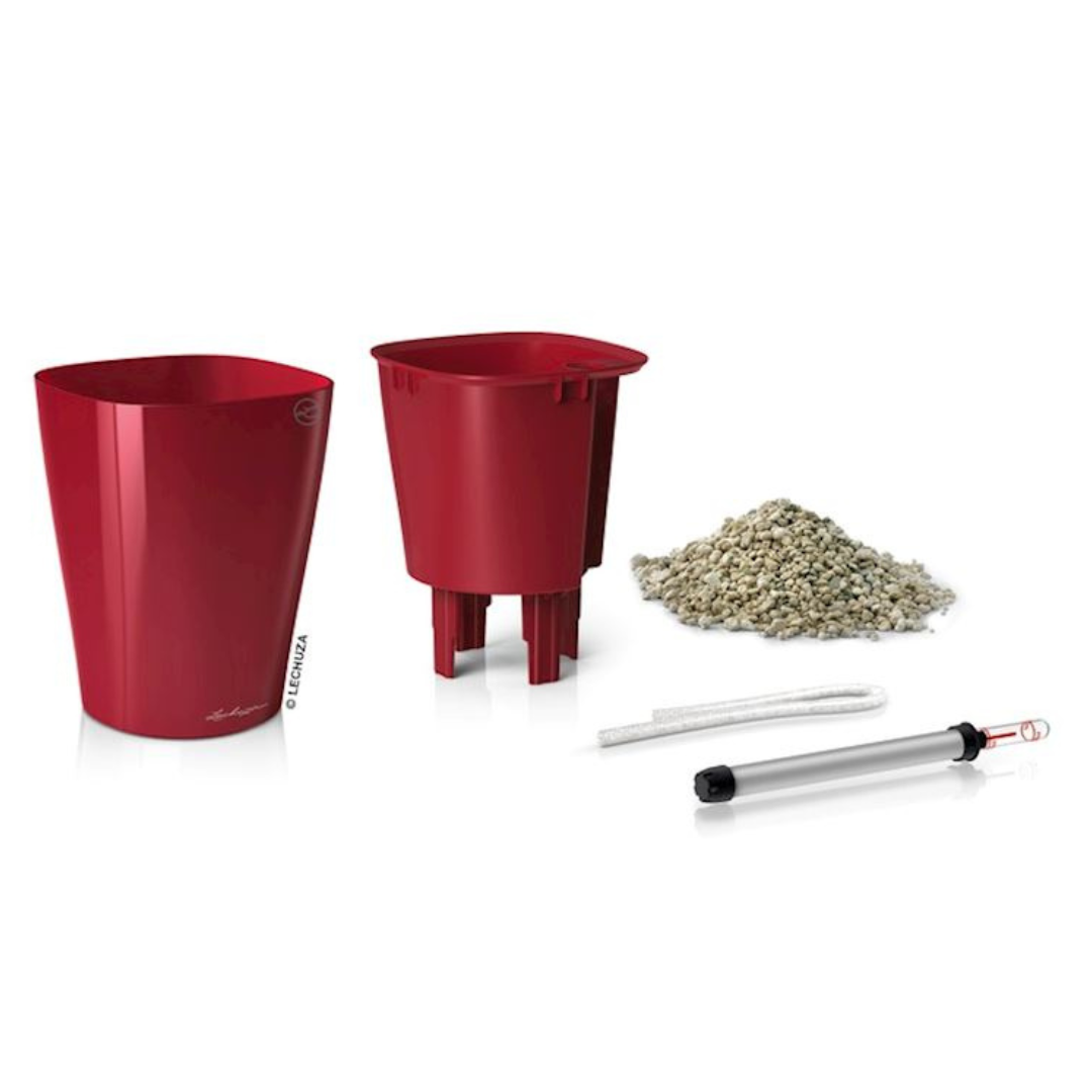 Mini-Deltini