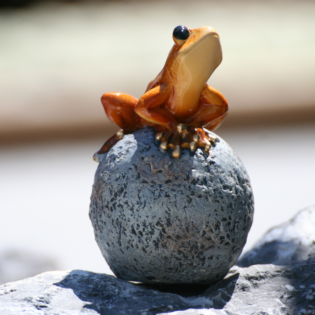 Grenouilles sur balle