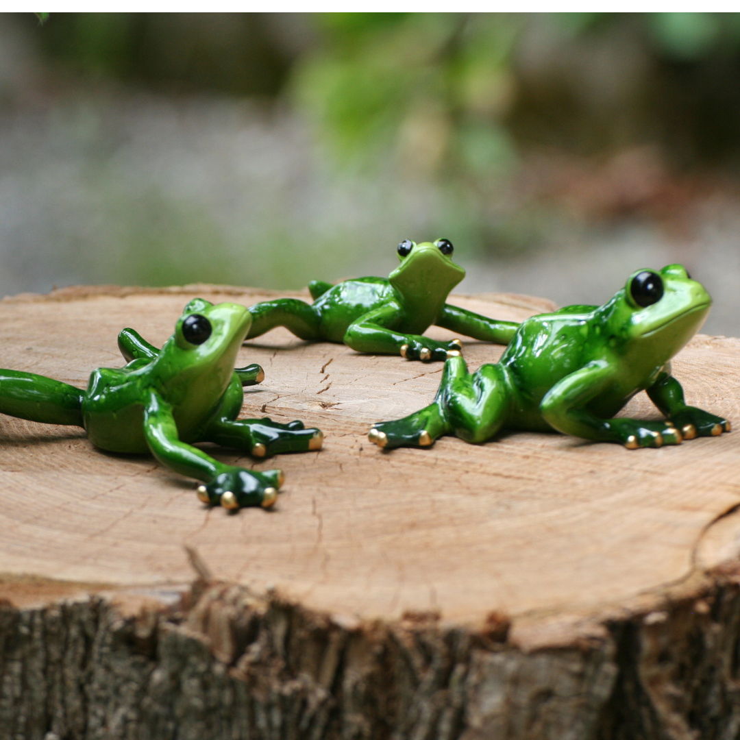 Grenouilles étirées