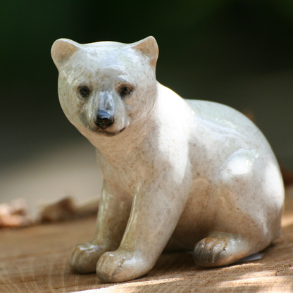 Ours polaires