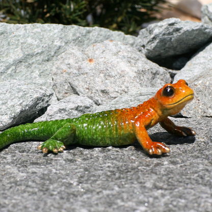 salamander