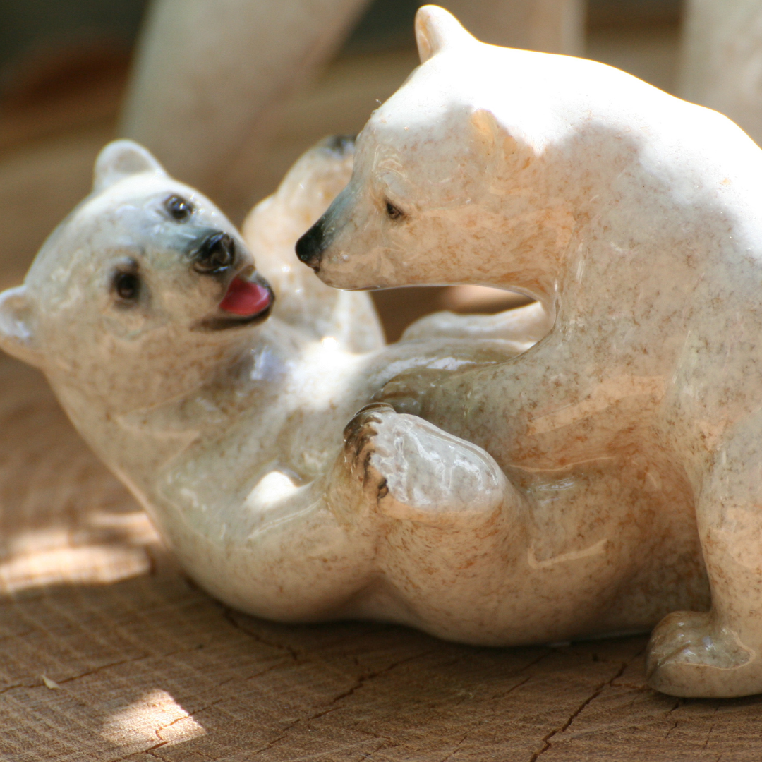 Ours polaires