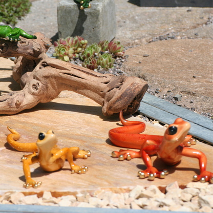 Lézard rouge
