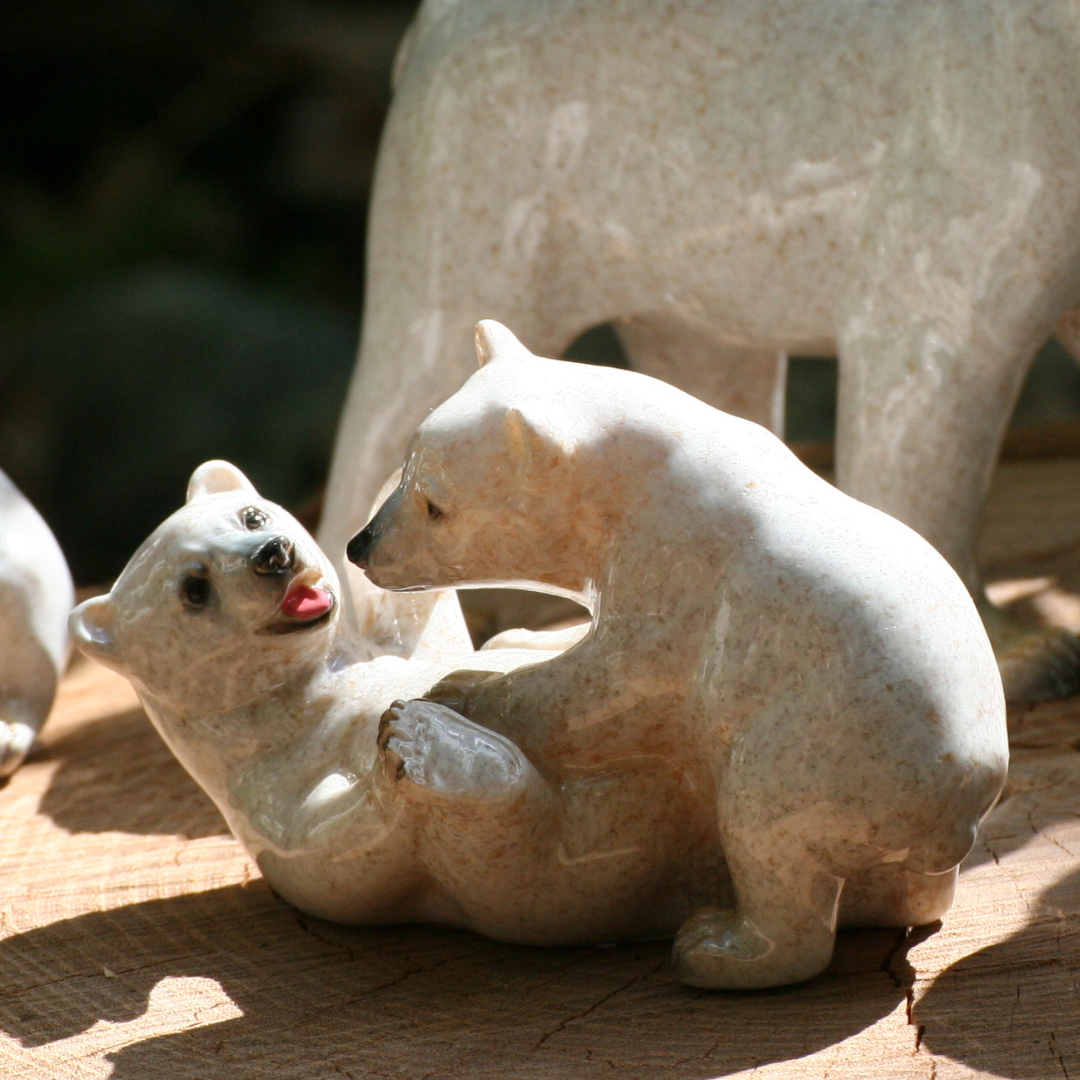 Ours polaires