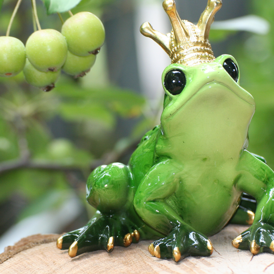 Frog Prince