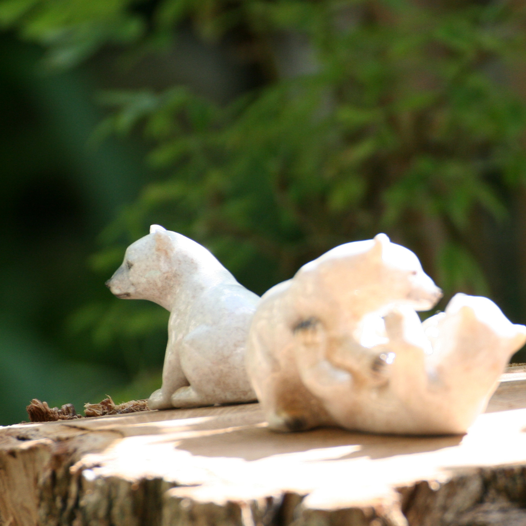 Ours polaires