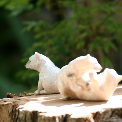Ours polaires