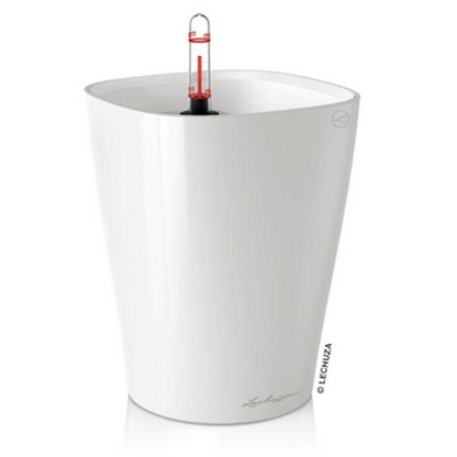 Mini-Deltini