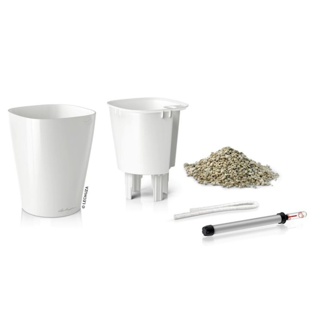 Mini-Deltini