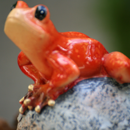 Grenouilles sur balle