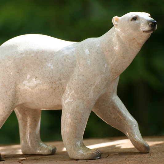 Polar bears