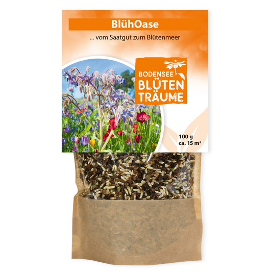 Meadow seed flower oasis