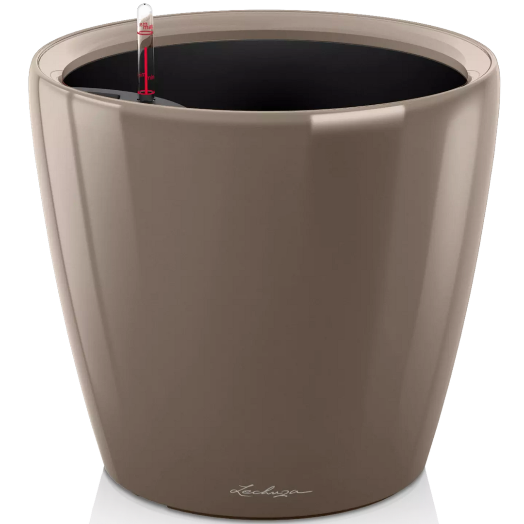 Navires Classico Premium LS Lechuza