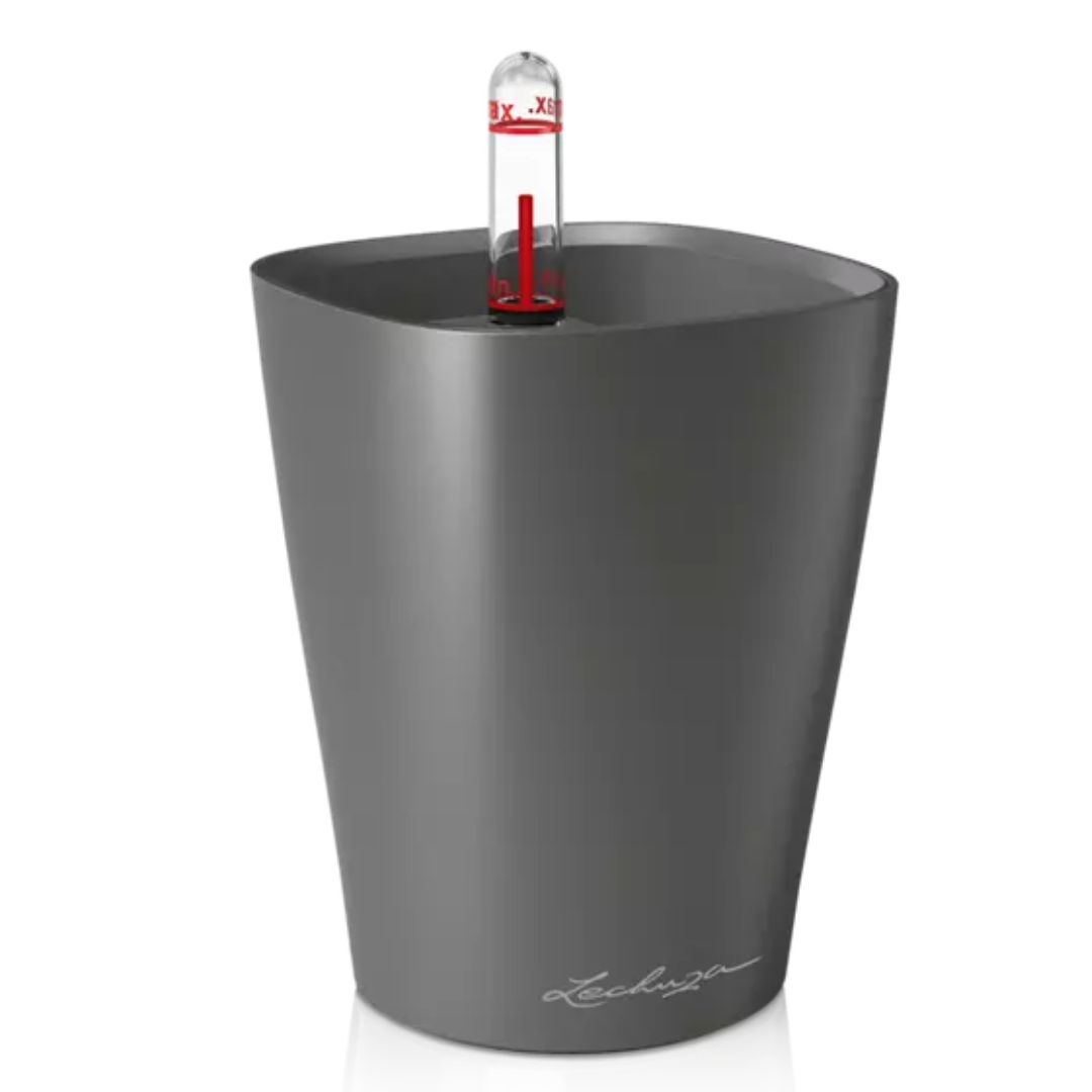 Deltini
