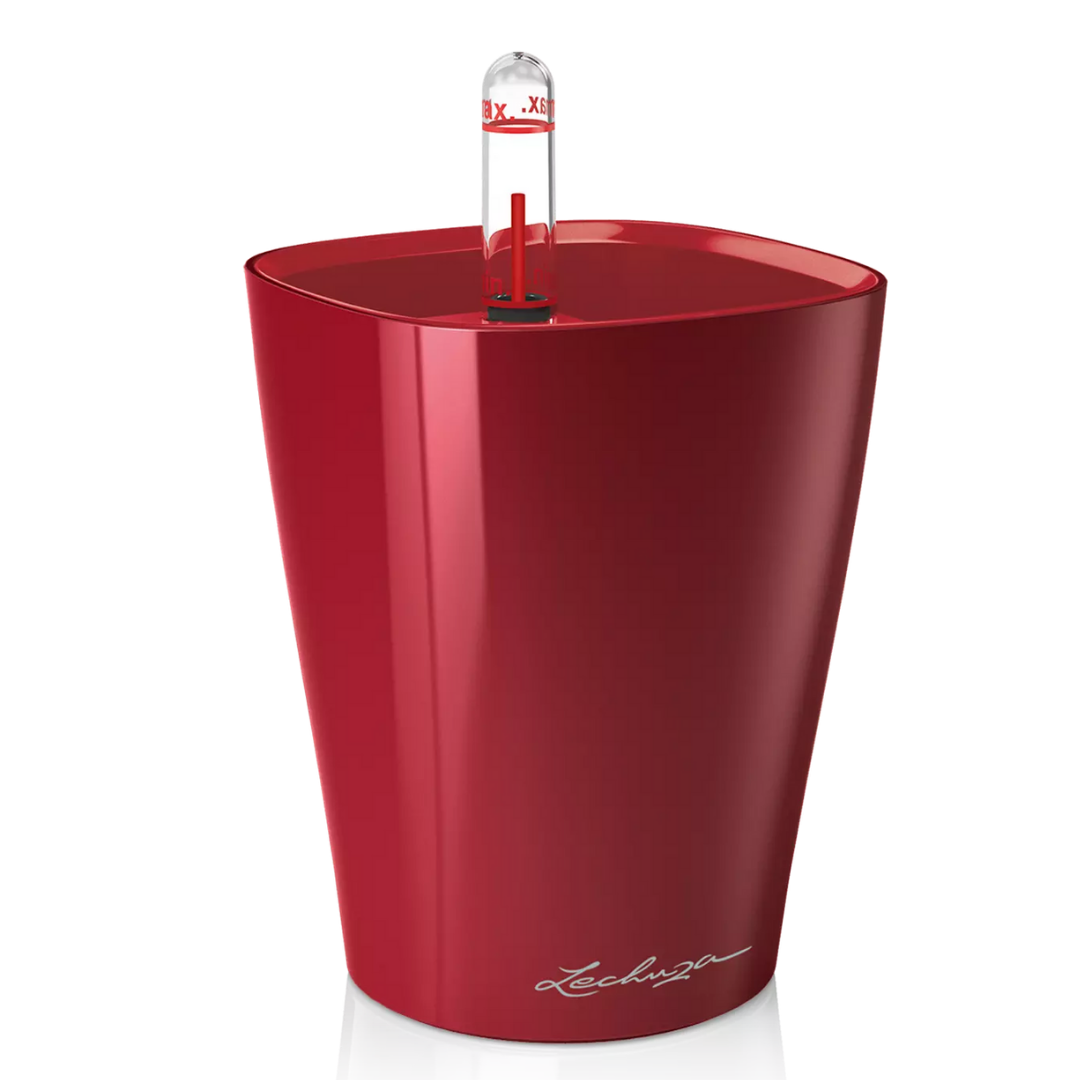 Deltini