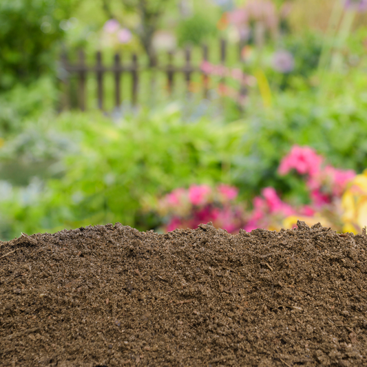 Humus - sand mixture loose
