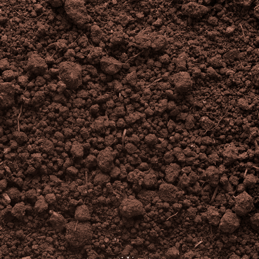 Humus sieved loose