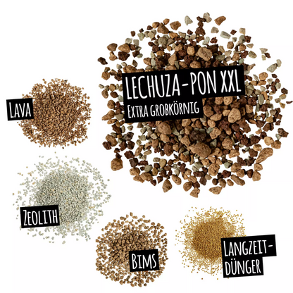 Lechuza Pon XXL