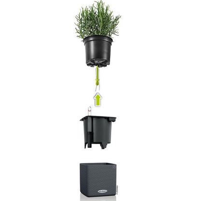 Green Wall Home Kit
