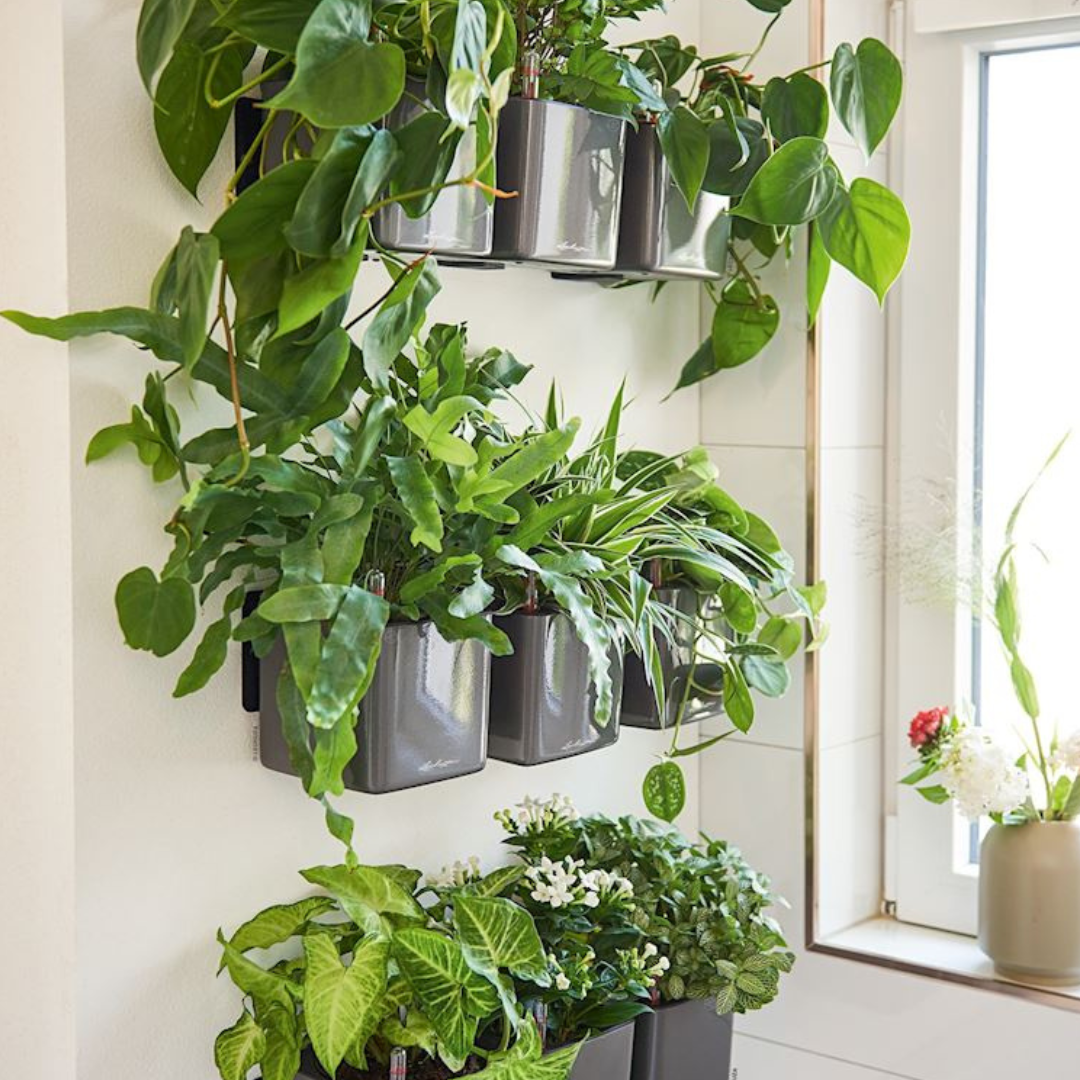 Green Wall Home Kit