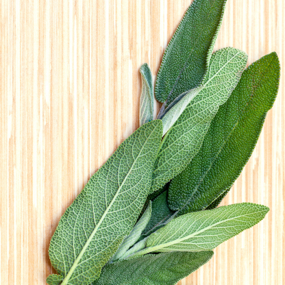 Pharmacist Sage