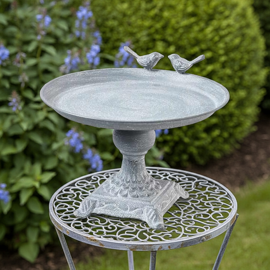 bird bath
